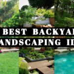 Best Backyard Landscaping Idea