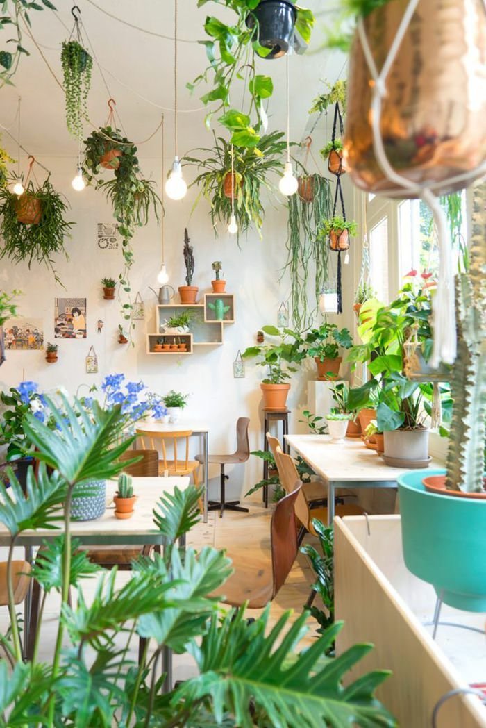 10 Beautiful Ways To Decorate Indoor  Plant  in Living  Room 