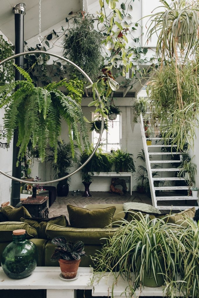 10 Beautiful Ways To Decorate Indoor Plant  in Living  Room 