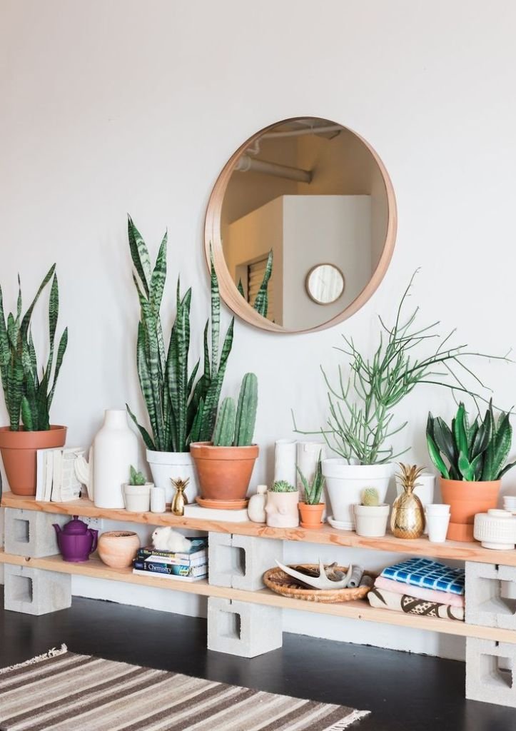 10 Beautiful Ways To Decorate Indoor Plant in Living Room