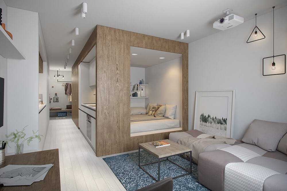 Tiny Apartment  With Light Interior Design  Under 30 Square 