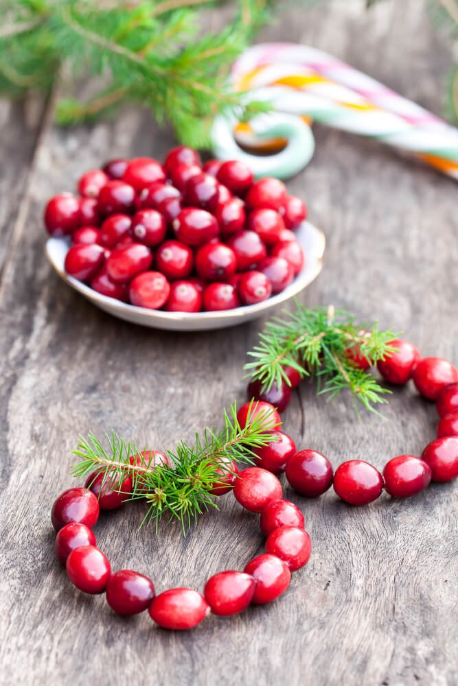 21-most-amazing-cranberry-christmas-decor-ideas