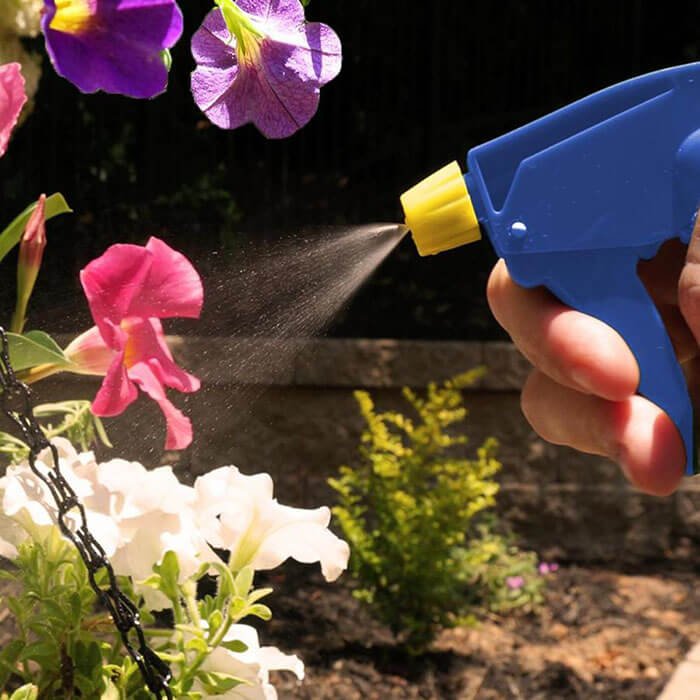 Winter Gardening Tips For Gardens Sustained By Rainwater Tanks