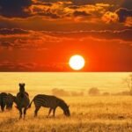 Best Destinations to Visit in Africa