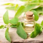 Tea Tree Oil Boosts Growth