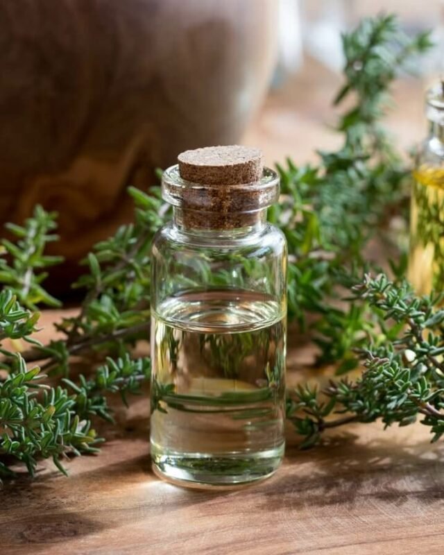 The Best Hair Growth Oils That Effectively Promote Growth