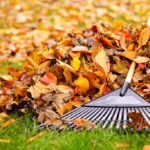 Remove Pile-up Autumn Leaves