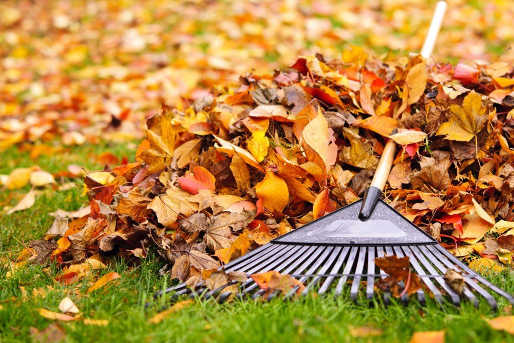Remove Pile-up Autumn Leaves