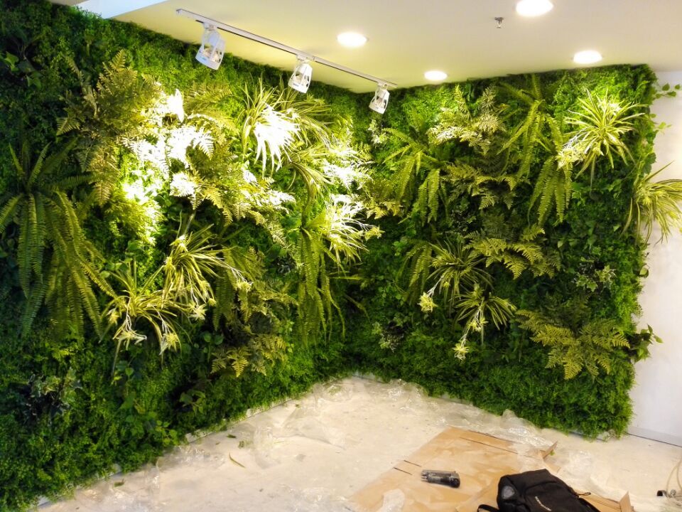 Indoor Plants on wall