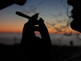 Post-Pandemic Smoke Sessions