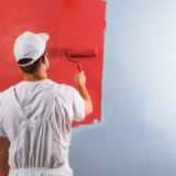 Professional Painter1