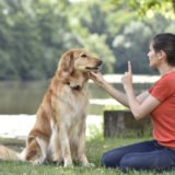 Woman,Training,Dog,At,The,Park