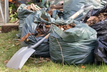 Garden waste. Brown leaves and rubbish collected from gardening