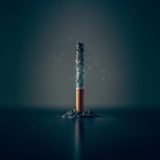 mathew-macquarrie-lzcKZlVPYaU-unsplash