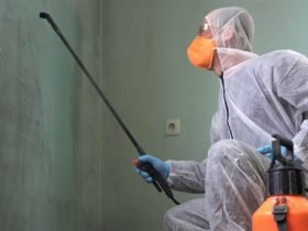 Mold Remediation Company 1