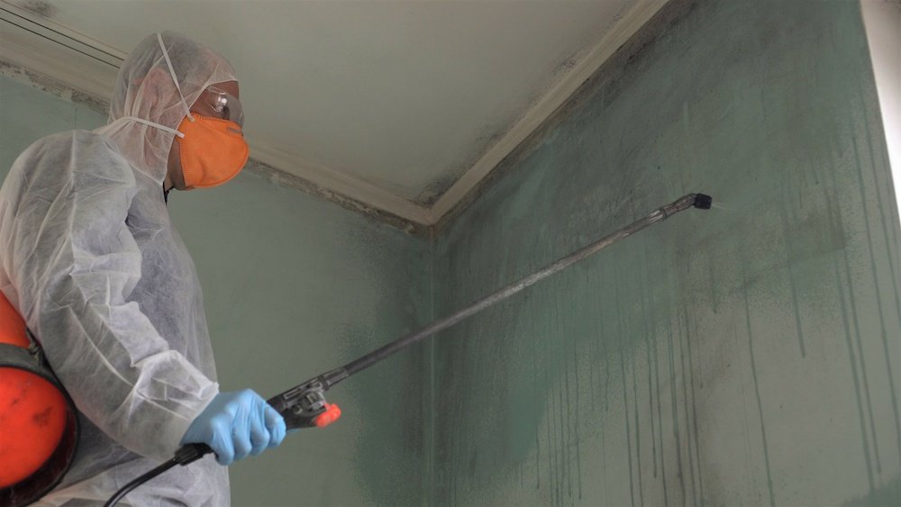 Removing mold.A professional disinfector cleans and sprays the area with an antimicrobial treatment to prevent mold from coming back in house