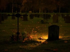 pexels-micael-widell-720732