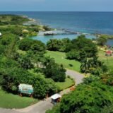 Explore Dolphin Cove Ocho Ríos in Jamaica