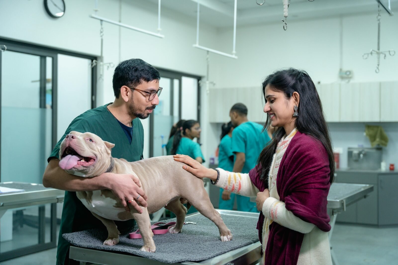 Animal Hospitals in Dubai