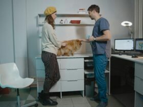 veterinary clinic in Dubai