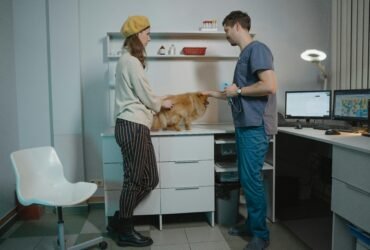 veterinary clinic in Dubai